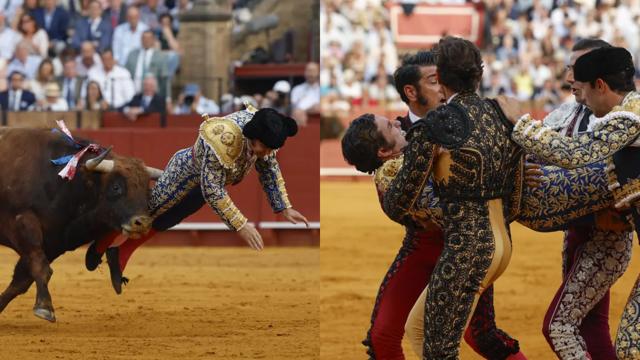 ‘King of Bullfighters’ Morante de la Puebla Gored in Rectum by Bull in Seville – Suffers 4-Inch Wound, Requires Surgery After Humiliating Blunder
